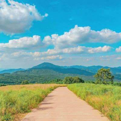 乐鱼全站官网在线登录