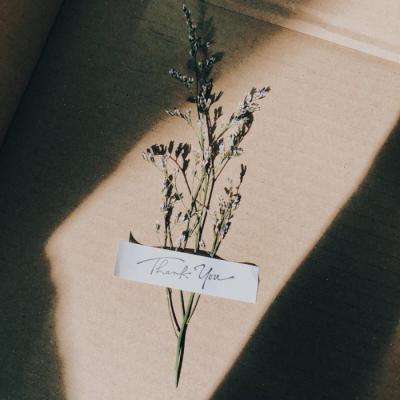 亚虎娱乐app下载