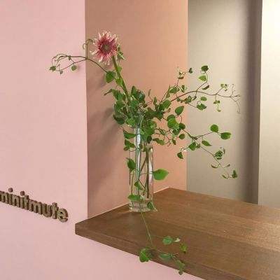 真人斗牛牛最新版手机app下载