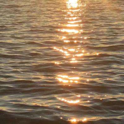 NG体育APP官方下载网址